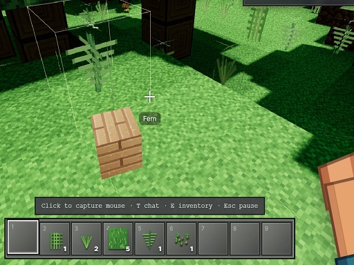 Voxel Frontier